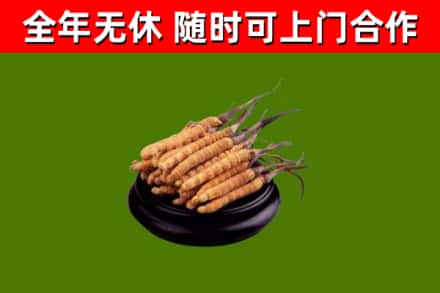 卡若烟酒回收冬虫夏草.jpg